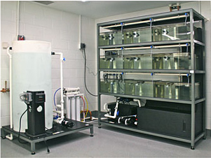 Xenopus Aquatic Systems for Xenopus research
