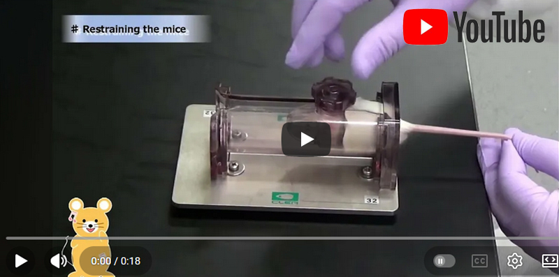 Restraining mice
