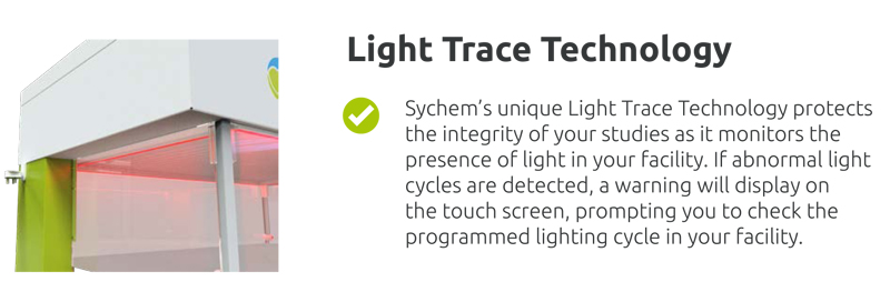 Light Trace