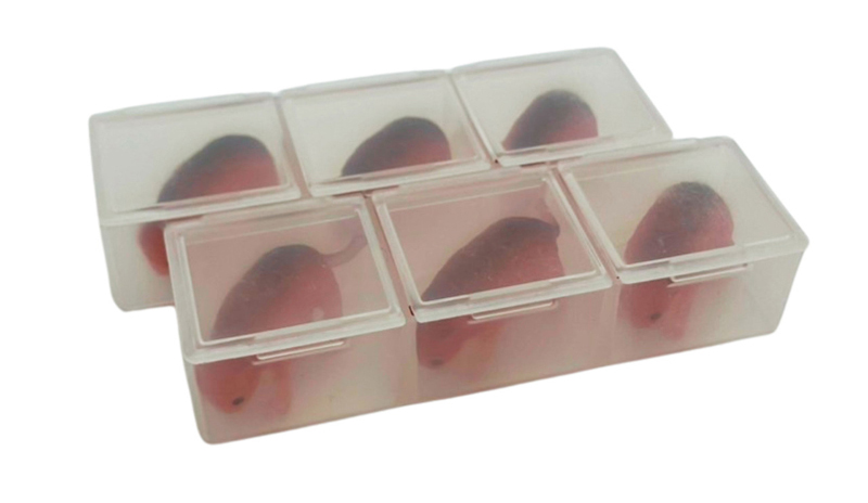 set of 6