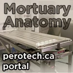 14_Button_Mortuary Anatomy